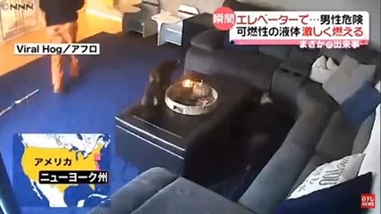 【まさか】しっぽに火が！そのときネコは…アメリカ（2020年12月3日放送 news every.『まさかの出来事』より）