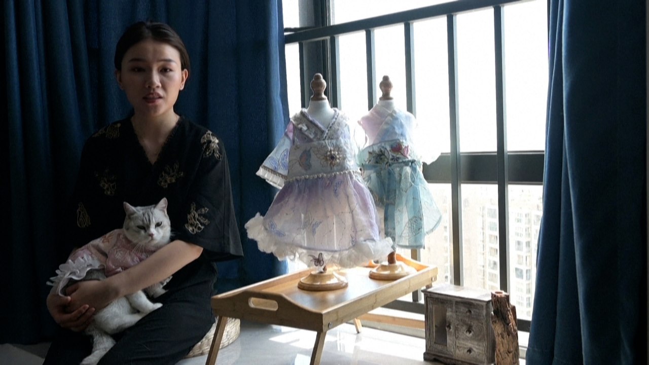 Feel-Good-Countdown, 24: Designermode für Katzen