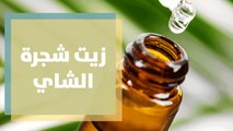 ما هي أهمية واستعمالات زيت شجرة الشاي ؟