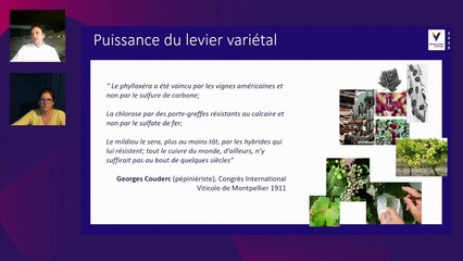 Resistant varieties, the future in Bordeaux