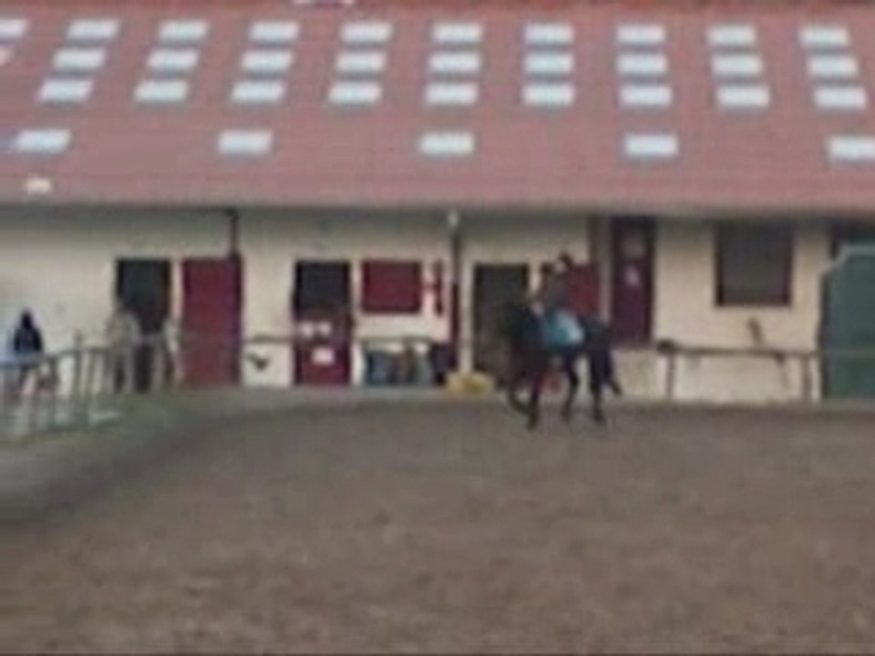 Galop 3/4 ; Partie Dressage