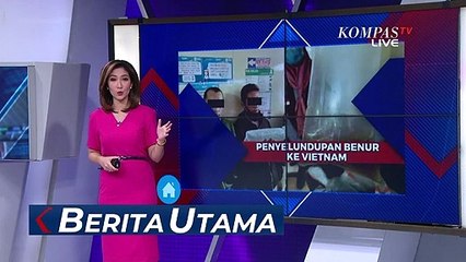Penyelundupan 42 Ribu Benih Lobster ke Vietnam Berhasil Digagalkan, Ini Modusnya