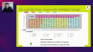 Adaptive varieties, the future in Bordeaux