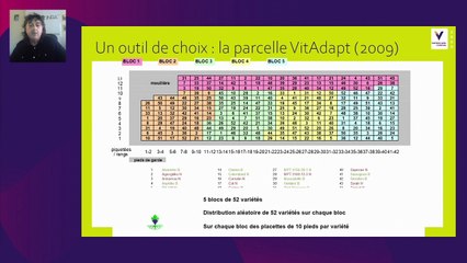 Adaptive varieties, the future in Bordeaux
