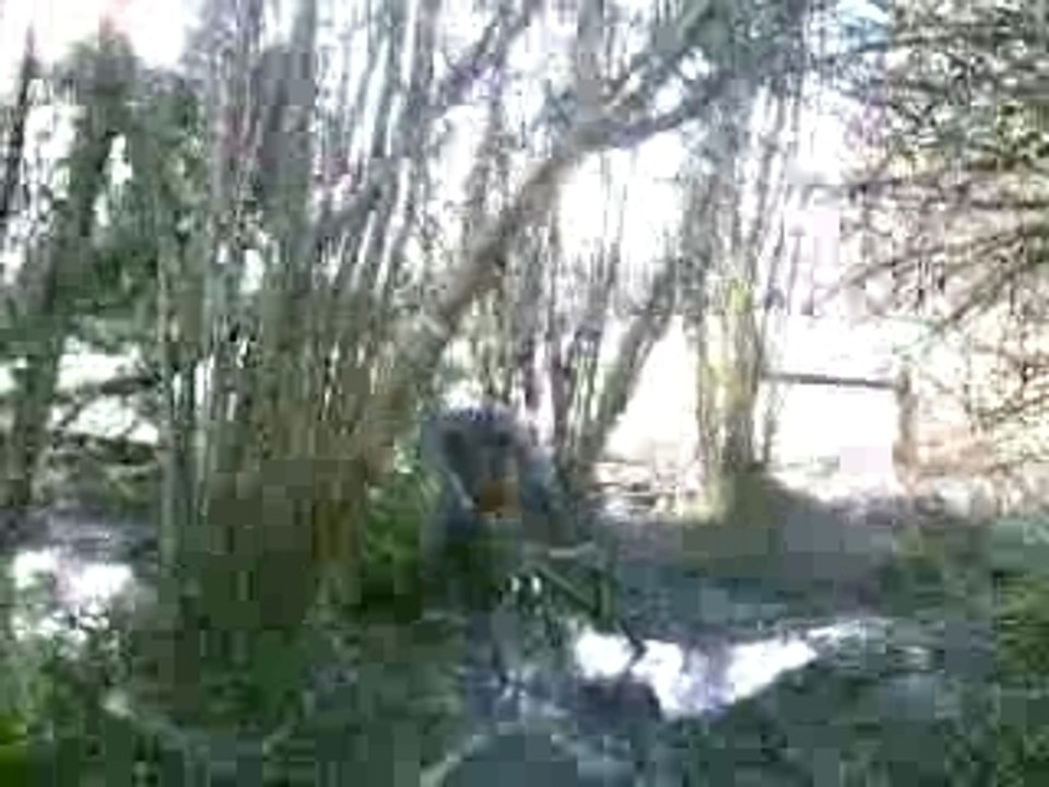 CLIP0001