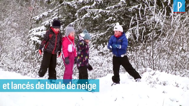 Massif des Vosges : la neige attire toujours même sans remontées mécaniques 