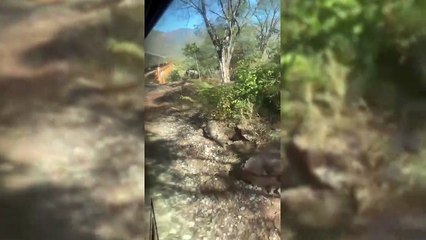 ¡Alerta en presa de Sinaloa! Augura un 2021 difícil; mira las imágenes