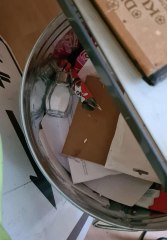 Ce chat a caché la salière dans la poubelle !