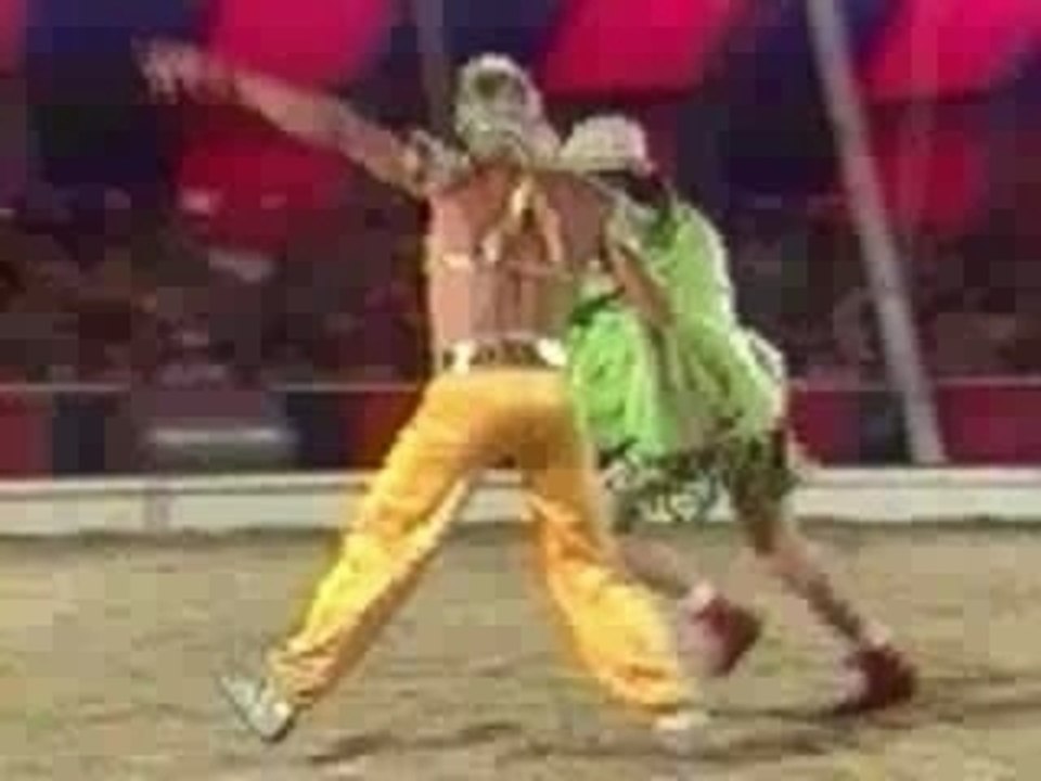 Cirkusnummer
