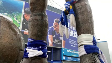 Cardiff City vs Stoke City Preview