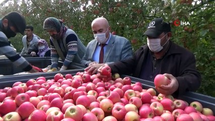 Türkiye’nin Elma Deposunda Son Hasat Yapıldı