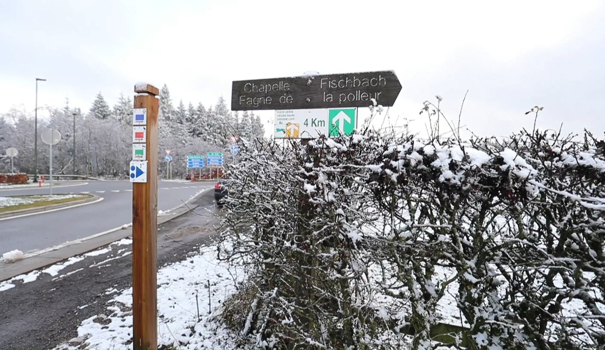 Les premières neiges sont tombées sur les Hautes Fagnes