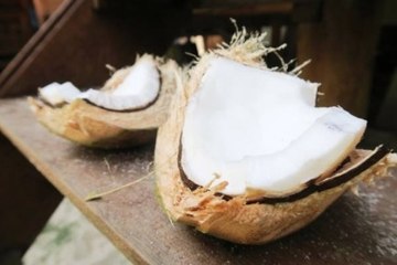 These Are Some Amazing Benefits of Coconuts