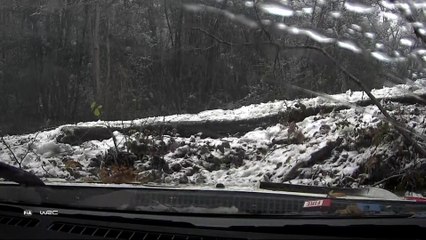 Highlights from final race of WRC 2020