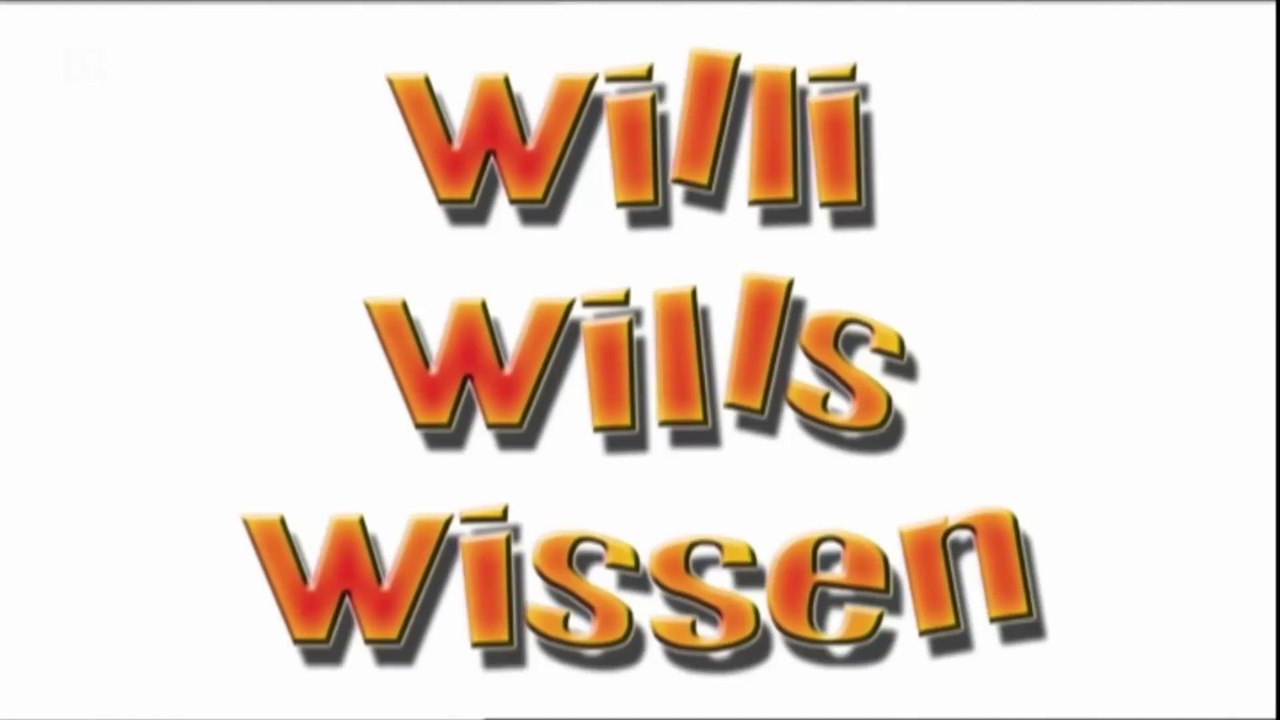 WiLlI MuSs InS iNtErNaT|Youtube Kacke