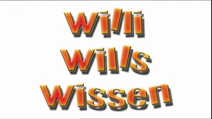 WiLlI MuSs InS iNtErNaT|Youtube Kacke