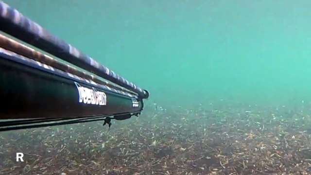 Spearfishing Gilthead Bream / Zıpkınla Çipura Avı