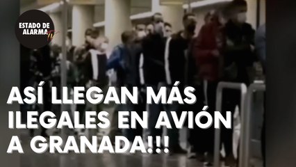 ASÍ LLEGAN más ILEGALES en AVIÓN a GRANADA