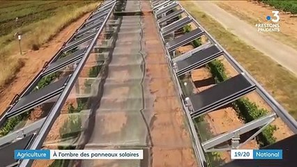 Agriculture : des panneaux intelligents pour protéger les cultures