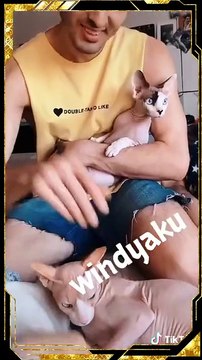 momentos divertidos-mascotas-clips tik tok