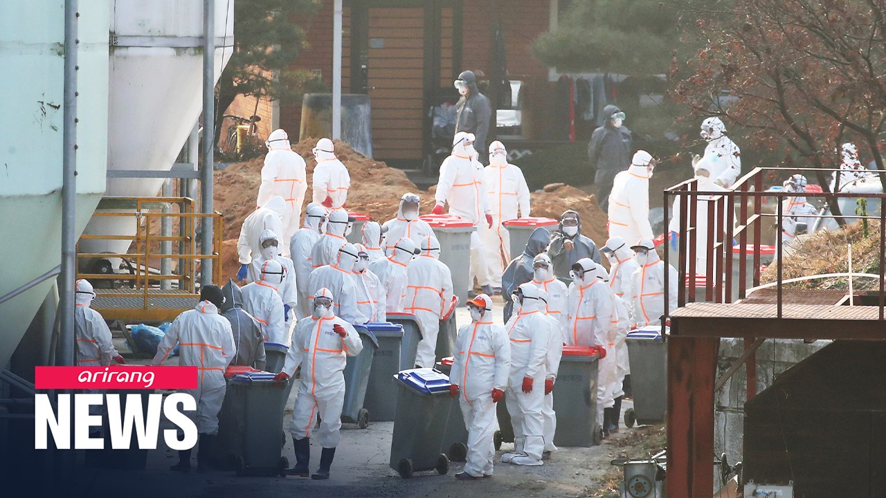 S. Korea confirms 4th case of bird flu at egg farm in Gyeonggi-do Province