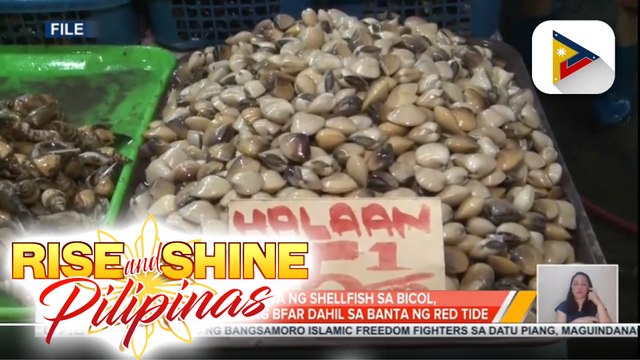 Pagtitinda ng shellfish sa Bicol, ipinagbawal ng BFAR dahil sa banta ng red tide