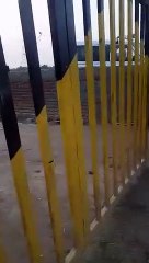 गौशाला की लेबर ने पांच माहीने से बेतन न मिलने पर गौशाला के अन्दर बान्धक बनाया