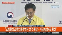 [현장연결] 정부, 고병원성 조류인플루엔자 확산 방지 대책 발표