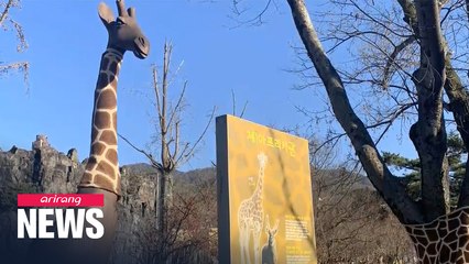 Trees at Seoul Grand Park dressed with animal patterns