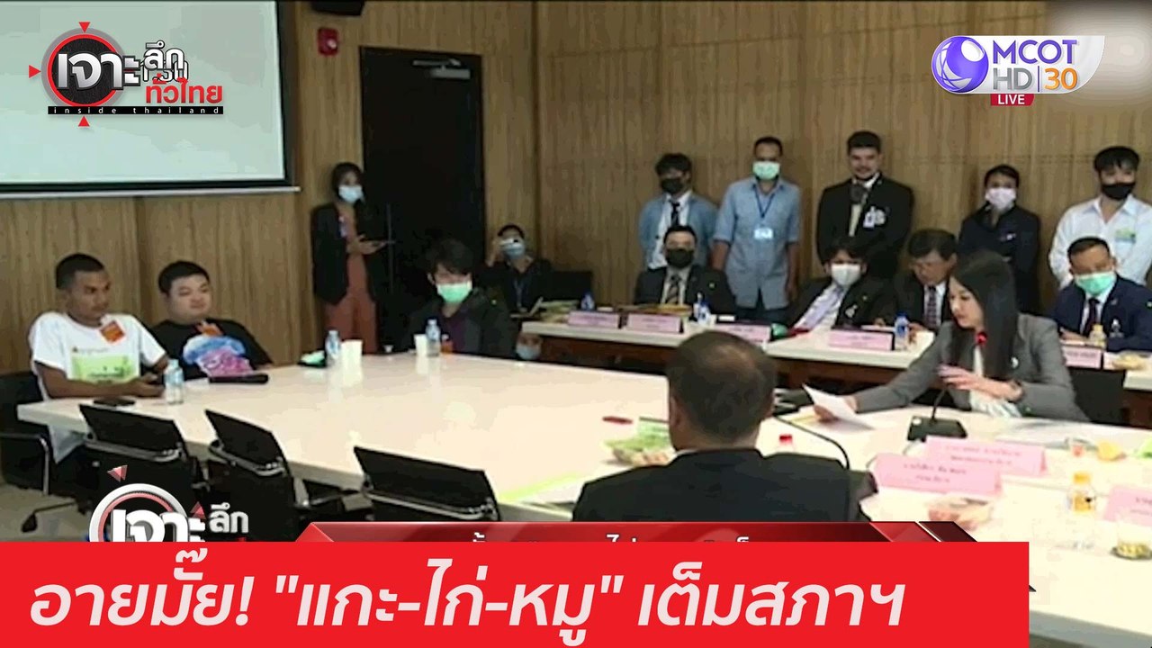 อายมั๊ย! "แกะ-ไก่-หมู" เต็มสภาฯ : เจาะลึกทั่วไท...