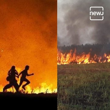 Solapur Farmer Burns Sugarcane Field Chasing A Leopard