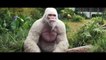 RAMPAGE Official Trailer (2018) Dwayne Johnson, Giant Ape, Action Movie HD