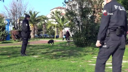Pitbullu Kavgayı Polis Biber Gazıyla Ayırmaya Çalıştı