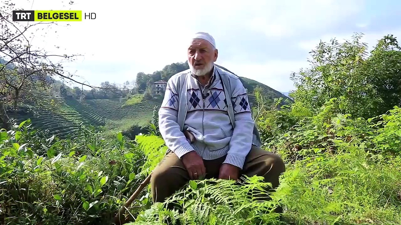 Nargin - Yılan Adası