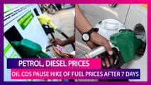 Petrol, Diesel Prices: Oil Companies Pause Hike Of Fuel Prices Across Metro Cities After Seven Days