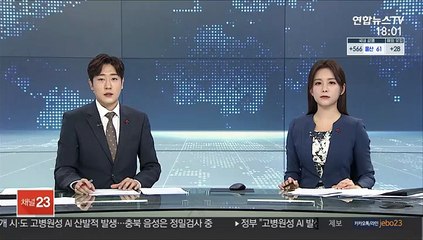 마스크 품귀 노려 수십억 사기…총책 강제송환