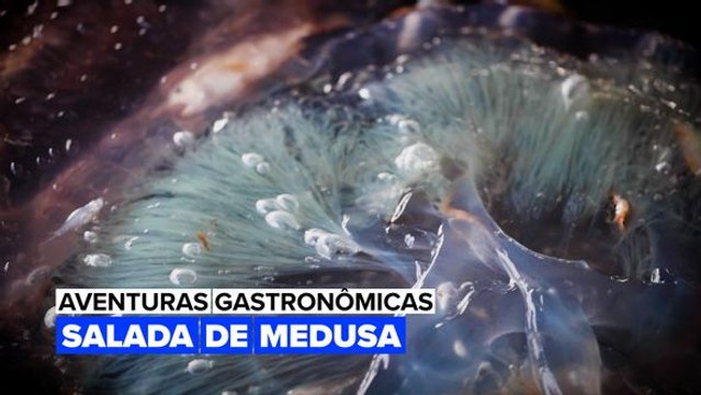 Aventuras Gastronômicas: Salada de Medusas