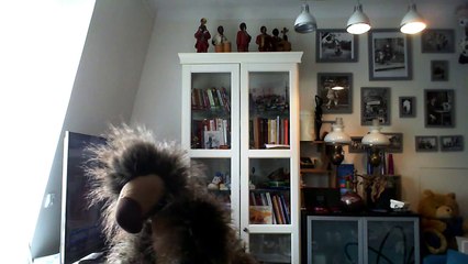 Wiwi muppetshowise "kung fu"