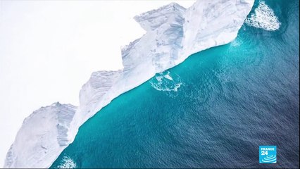 Iceberg on collision course: World's largest chunk of ice heading for wildlife habitat
