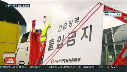 "입이 바짝 마르네요" 나주서도 고병원성 AI 의심