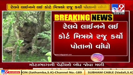 સિંહોંના અકાળે થતા મૃત્યુનોકેસ_ગીર-અભ્યારણ્યમાંથી પસાર થતી રેલવેલાઈનને લઇ કોર્ટમિત્રએ રજુકર્યોવાંધો