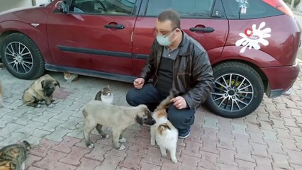 Sokak Hayvanları İçin Harekete Geçti, Mahalle Sakinleri Onu Yalnız Bırakmadı