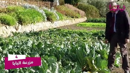 بينها الأفاعي والفضاء والجثث: أغرب 10 مزارع حول العالم