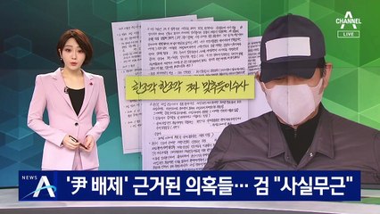 ‘尹 배제’ 근거된 김봉현 주장 의혹들…검찰 “사실무근”