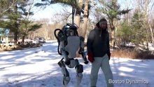 Les meilleurs robots qui existent vraiment