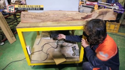 버려진 나무의 변신은 무죄, 썩은 나무로 연 매출 5억 원?!?