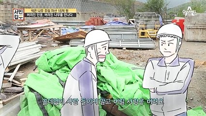 버려진 나무에서 얻은 위로와 희망, 인생의 새로운 길을 만나다!