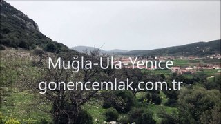 Ula Yenice Satılık Arsalar-gonencemlak.com.tr