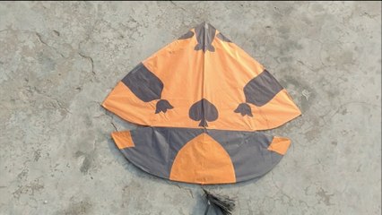 Transgender kite making & flying at Home