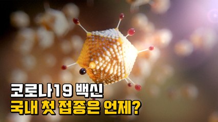 [나이트포커스] 코로나19 백신 국내 첫 접종은 언제? / YTN